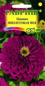 цветы Цинния Фиолетовая Фея ГАВРИШ