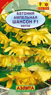 цветы Бегония Шансон желтая ампельн АЭЛИТА