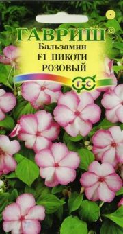 цветы Бальзамин Пикоти розовый Уоллера  ГАВРИШ