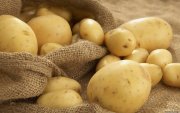 картофель Танай 2 кг