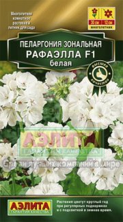 цветы Пеларгония Рафаэлла F1 белая АЭЛИТА