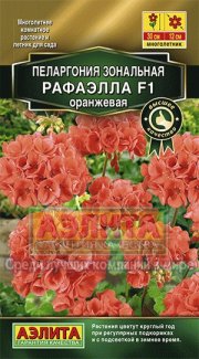 цветы Пеларгония Рафаэлла F1 оранжевая АЭЛИТА