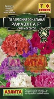 цветы Пеларгония Рафаэлла F1 смесь окрасок АЭЛИТА