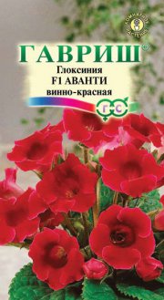 цветы Глоксиния Аванти винно-красная F1 ГАВРИШ