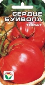 томат Сердце Буйвола СибСад