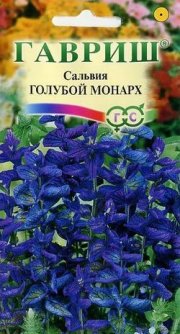 цветы Сальвия Голубой монарх ГАВРИШ