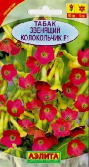 цветы Табак Звенящий колокольчик АЭЛИТА
