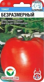 томат Безразмерный СибСад