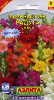 цветы Львиный зев Радуга низкорослый АЭЛИТА