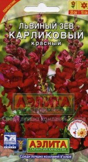 цветы Львиный зев Карликовый Красный АЭЛИТА