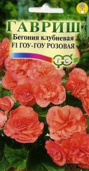 цветы Бегония Гоу-Гоу F1 розовая ГАВРИШ