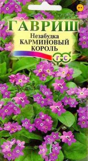 цветы Незабудка Карминовый король ГАВРИШ