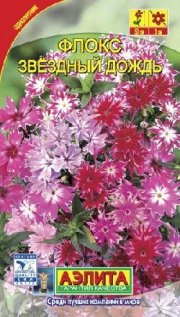 цветы Флокс Друммонда Звездный дождь АЭЛИТА