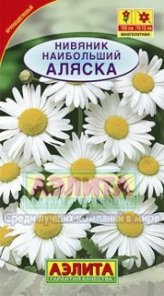 цветы Нивяник Аляска АЭЛИТА