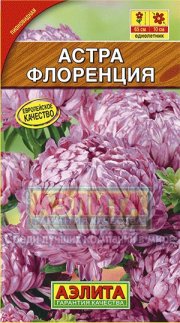 астра Флоренция АЭЛИТА