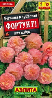 цветы Бегония Фортун F1 пич шэйдс АЭЛИТА