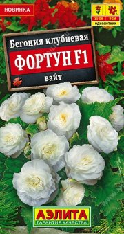 цветы Бегония Фортун F1 вайт  АЭЛИТА