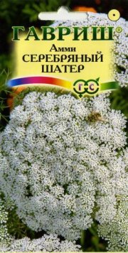 цветы Амми Серебрянный шатер ГАВРИШ