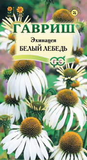 цветы Эхинацея Белый лебедь ГАВРИШ