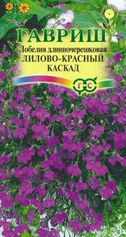 цветы Лобелия Лилово-красный каскад, ампельная ГАВРИШ