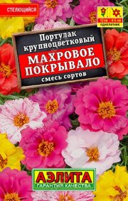 цветы Портулак Махровое покрывало, смесь сортов АЭЛИТА -Лидер