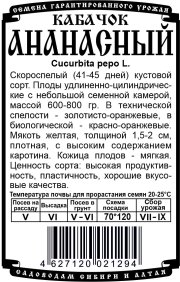 кабачок Ананасный (6 шт Б/П)
