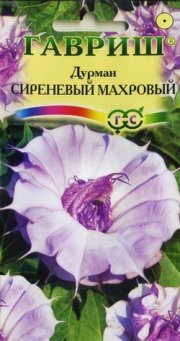 цветы Дурман Сиреневый махровый ГАВРИШ