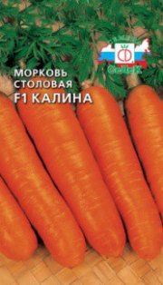 морковь Калина F1СЕДЕК