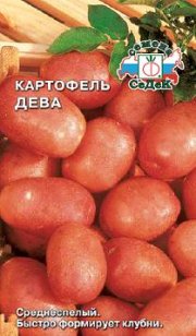 картофель Дева СЕДЕК