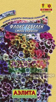 цветы Флокс Гобелен смесь АЭЛИТА