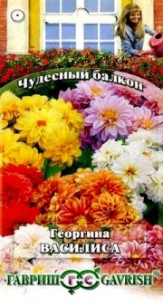 цветы Георгина Василиса Чудесный балкон ГАВРИШ