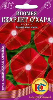 цветы Ипомея пурпр Скарлет О Хара /0,5 гр Дем Сиб/