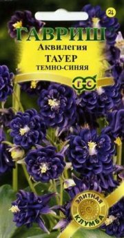 цветы Аквилегия Тауер темно-синяя ГАВРИШ