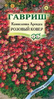 цветы Камнеломка Арендса Розовый Ковер ГАВРИШ