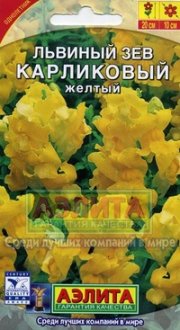 цветы Львиный зев Карликовый Желтый АЭЛИТА