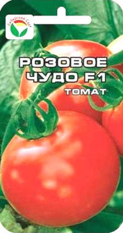 Сибсад. Томат Супербомба Сибирский сад. Томат черная Лакомка Аэлита. Томат розовое утро Сибирский сад. Томат розовое чудо.