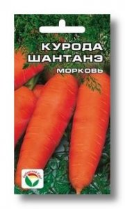 морковь Курода Шантанэ СибСад
