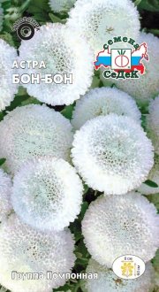 цветы Астра Бон-бон (белая,помпон) СЕДЕК