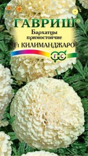 цветы Бархатцы Килиманджаро ГАВРИШ (тагетес)