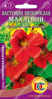 цветы Настурция Махагони низкорослая /5 шт Дем Сиб/