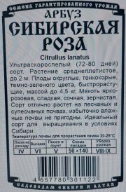 арбуз Сибирская роза (8 шт  Б/П)