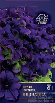 цветы Петуния Индианка F1 СЕДЕК