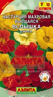 цветы Настурция Вспышка АЭЛИТА