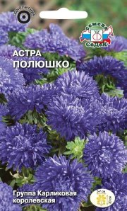 цветы Астра Полюшко (карл.св-голуб) СЕДЕК