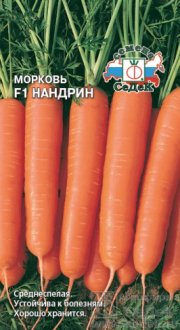 морковь Нандрин F1 СЕДЕК
