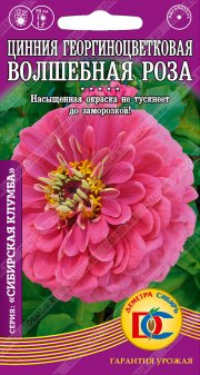 цветы Цинния Волшебная роза георгиноцветковая /0,2 гр  Дем Сиб/