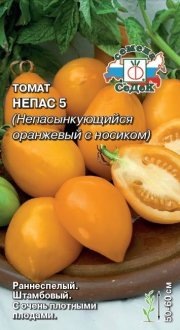 томат Непас 5 Непасынкующийся Оранжевый с носиком СЕДЕК