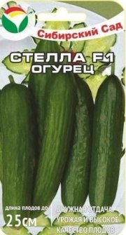 огурец Стелла F1 СибСад
