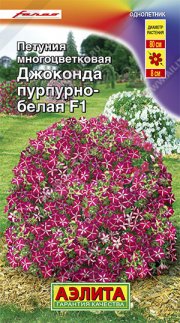 цветы петуния Джоконда F1 пурпурно-белая АЭЛИТА