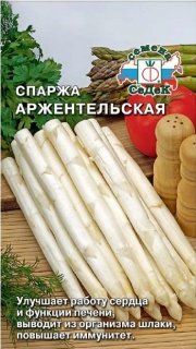 зеленные Спаржа Аржентельская СЕДЕК